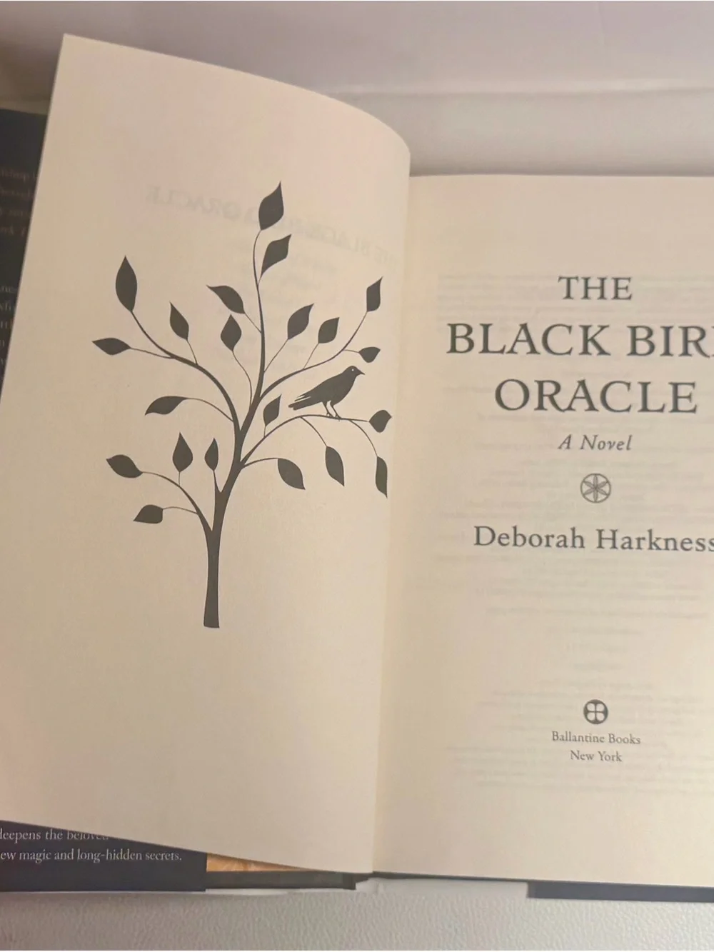 The Black Bird Oracle Hardcover Book Deborah Harkness 2024 1st Edition Like New